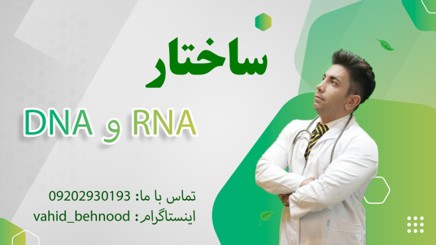 دکتر وحید بهنود(ساختار DNAو RNA) میلوشل