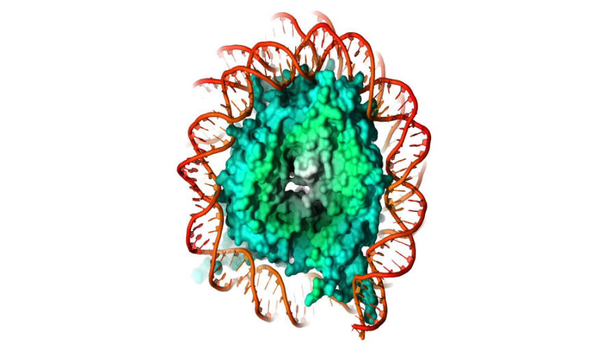آنالیز داده های qPCR توئیتر