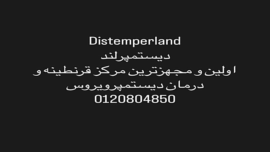 دیستمپر دکتر محمد فلاح گرجی