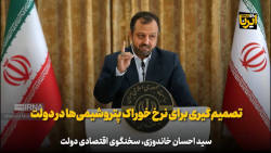 خاندوزی: تصمیم گیری برای نرخ خوراک پتروشیمی ها در دولت خاندوزی: تصمیم گیری برای نرخ خوراک پتروشیمی ها در دولت