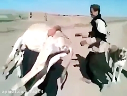 خودت اسم  بذار  من توانایی ندا...