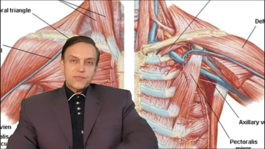 پرسش و پاسخ با استاد محمدرضا صفاری: نقش ماهیچه های جناغ قفسه سینه در تنفس دندانپزشک زیبایی