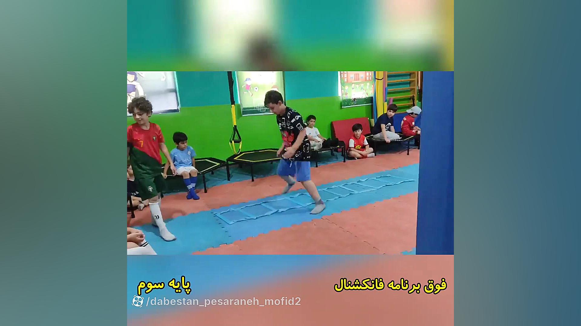 فانکشنال تابستانه 11 فیل فندقی