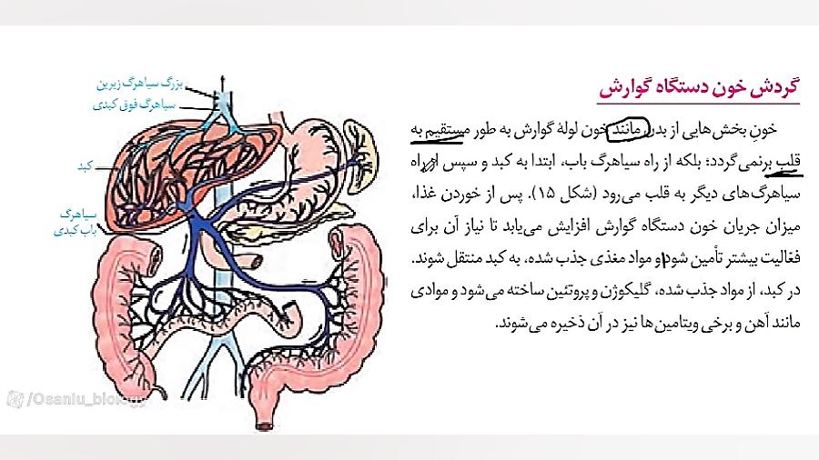 فصل دوم دهم - گردش خون دستگاه گوارش پروتز سینه