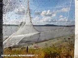 تار عنکبوت بسیار جالب