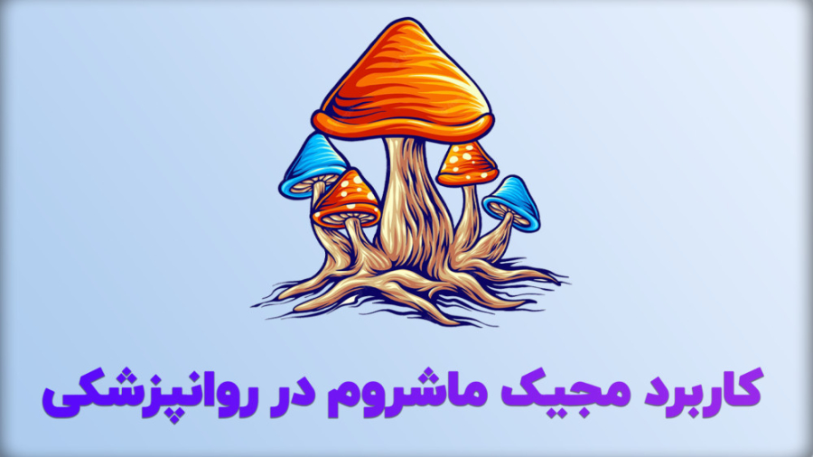 کاربرد مجیک ماشروم در علم روانپزشکی فیلم خفن