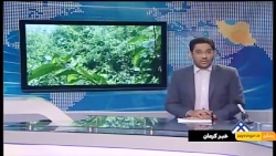 ادامه دار بودن باران های رگباری در استان کرمان ادامه دار بودن باران های رگباری در استان کرمان