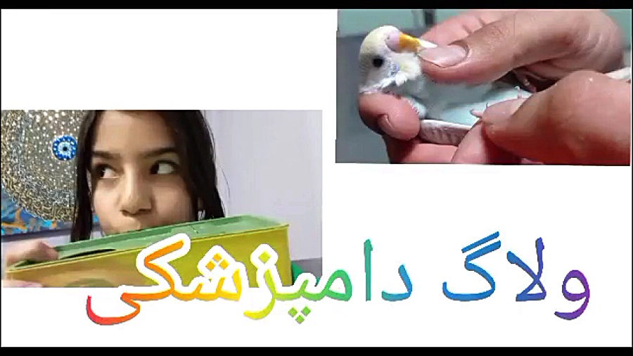 ولاگ دامپزشکی ترمیم دندان