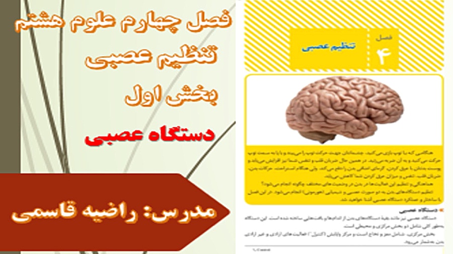 دستگاه عصبی مرکزی و محیطی علوم هشتم فصل چهارم میکرونیدلینگ