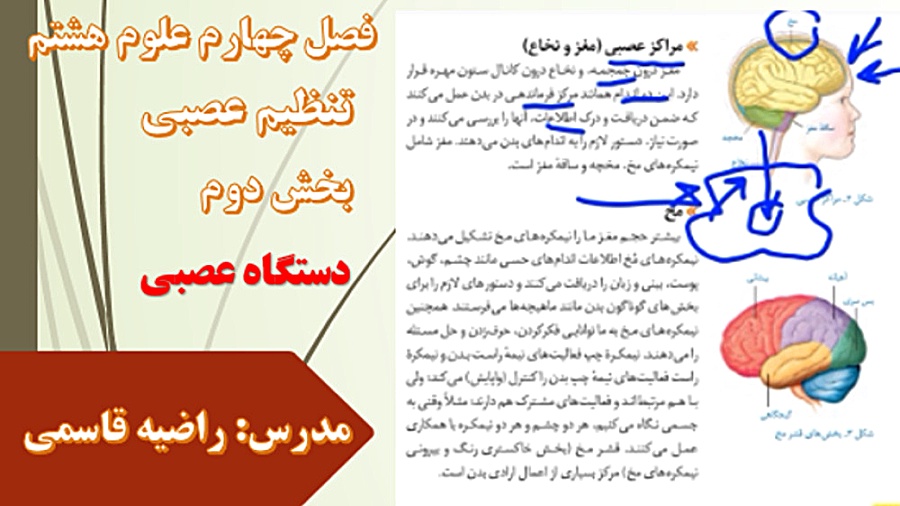 مراکز عصبی (مغز و نخاع)، علوم هشتم فصل چهارم سوسمار بندری