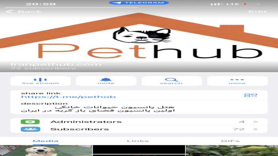 بهترین پانسیون سگ در کرج دکتر محمد فلاح گرجی