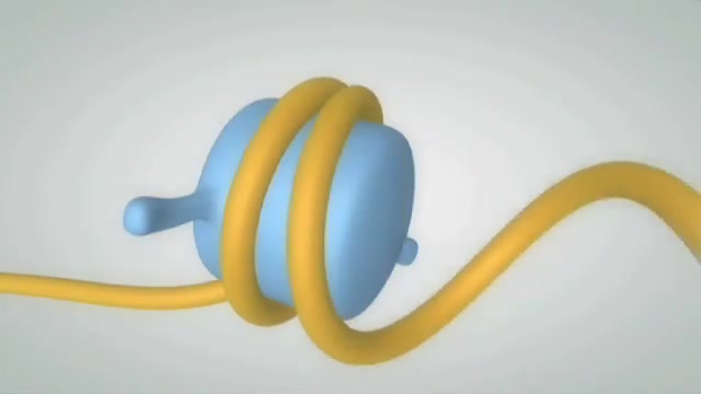 اپی ژنوم Epigenome Spatial Transcriptomics