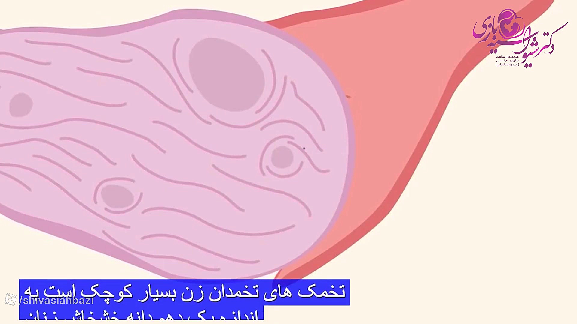 چرخه قاعدگی دکتر شیوا سیه بازی