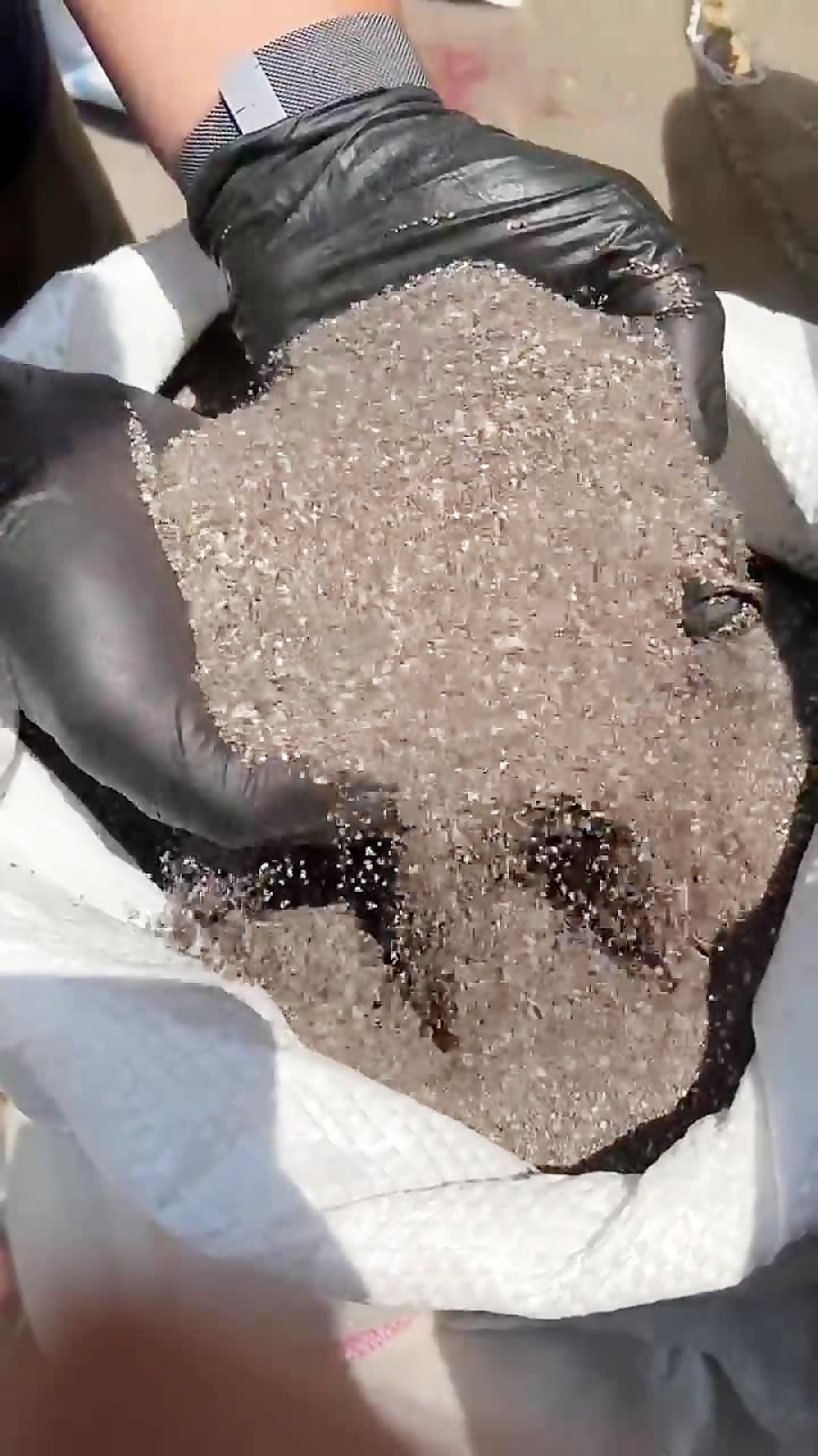 دانه چیا عمده