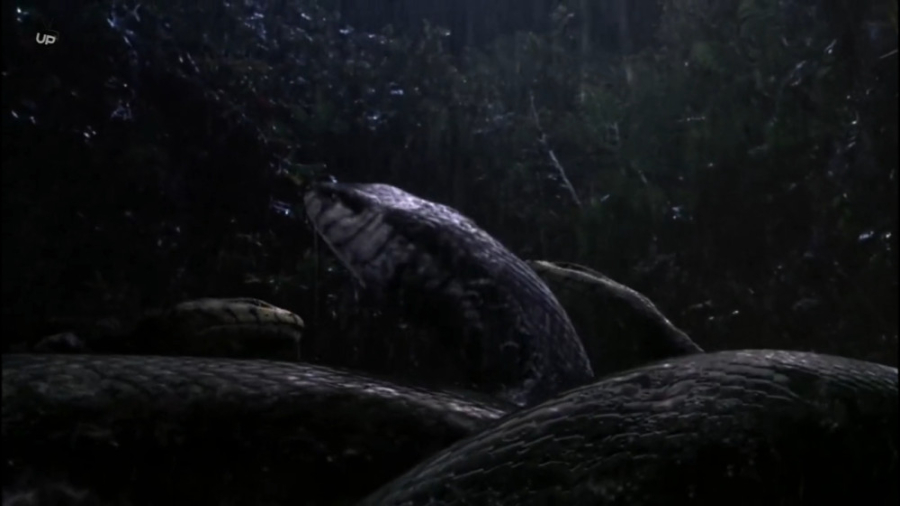 فیلم Anacondas: The Hunt for the Blood Orchid 2004 زمان4990ثانیه
