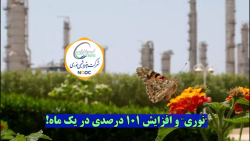 "نوری" و افزایش ۱۰۱ درصدی در یک ماه! "نوری" و افزایش ۱۰۱ درصدی در یک ماه!