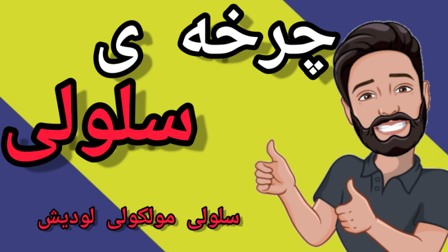 چرخه سلولی-1 / سلولی مولکولی لودیش_ آلبرتس عصب‌کشی
