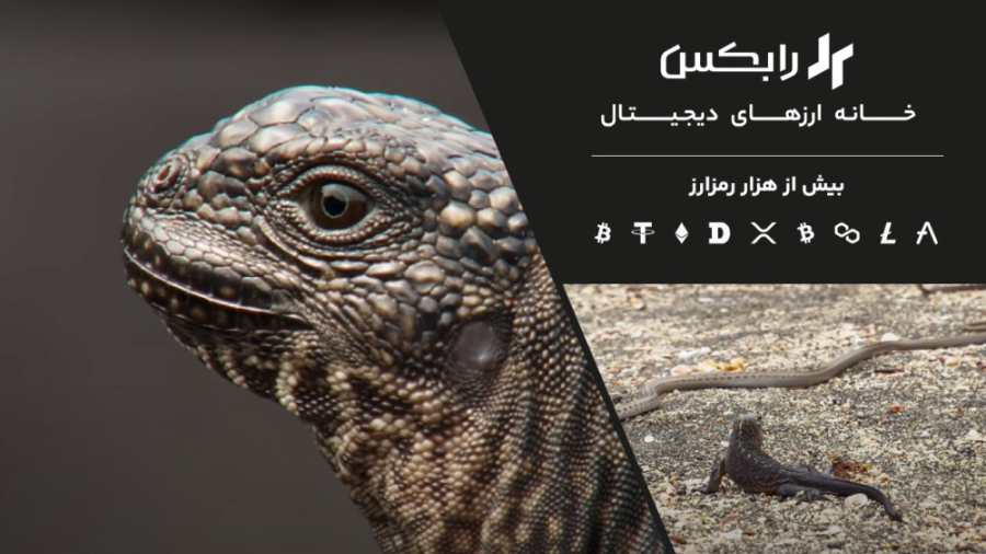 انتخاب , هوشمندانه , پنل , معامله , حرفه , ارز , دیجیتال , رابکس , دنیای , ارزهای , تجربه , کنید
https: , rabex , ir

- , امکان , دیجیتال
- , حرفه‌ای , تریدرها
- , قیمت , تتر , (USDT) , بازار
️- , برداشت , آنی , تومان , حساب , بانکی
️- , واریز , ۶۰ , شبکه , بلاکچینی , (حتی , زدکاسینک , آپتیمیزم , )
- , پشتیبانی , ۲۴ , ساعته , روز , هفته

* , خرید , فروش , ۱۰۰۰ , رمزارز , کوین , مارکت , کپ
بیت , اتریوم , ترون , دوج , شیبا , اینو , آدا , کاردانو , فانتوم , آپتوس , ریپل , پپه , ‌