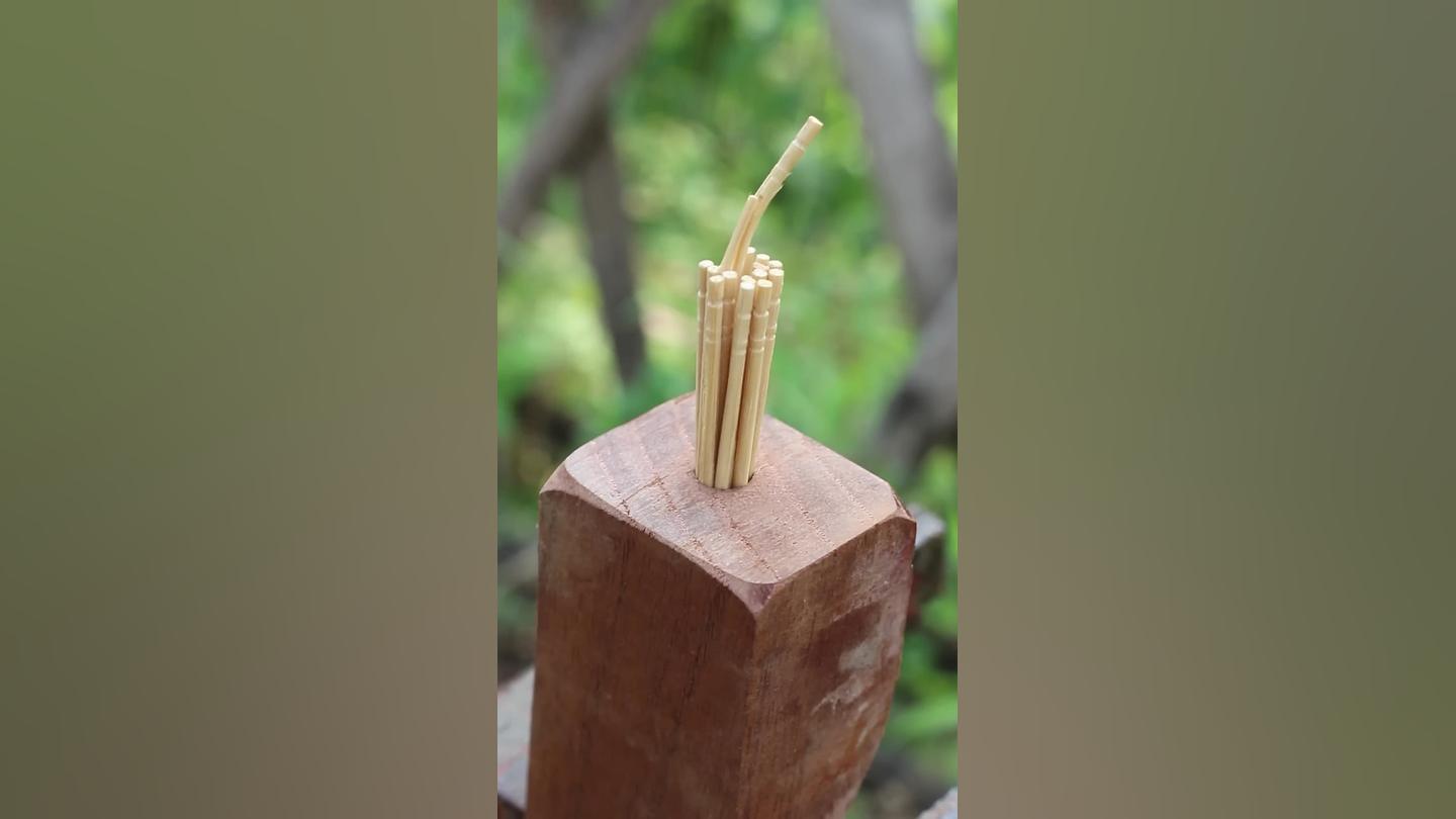 ترمیم چوب با خلال دندان دستگاه چاپ زیستی سه‌بعدی