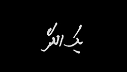 مجموعه نماهنگ یک الگو | گل سر سبد مجموعه نماهنگ یک الگو | گل سر سبد