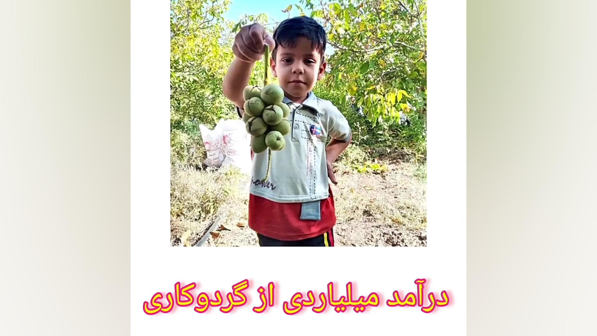 معرفی شغل دوم به درآمد میلیاردی برای بازنشسته ها زمان50ثانیه