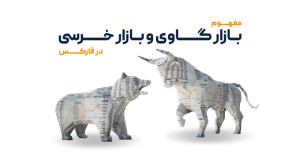 بازار , گاوی , خرسی , فارکس , (Bull , market) , (Bear , توصیف , وضعیت , کار , میروند , رو , رشد , قیمت , روندی , صعودی , میگویند , «بازار , گاوی» , حالی , نزولی , عبارت , خرسی» , میکنند , ادامه , ویدیو , مفهوم , ریشه , پیدایش , «خرسی» , «گاوی» , مرور , میکنیم