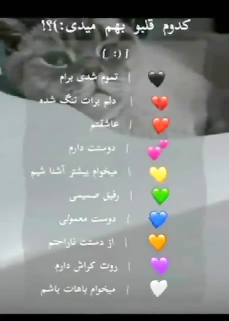 معنی قلب هااااا