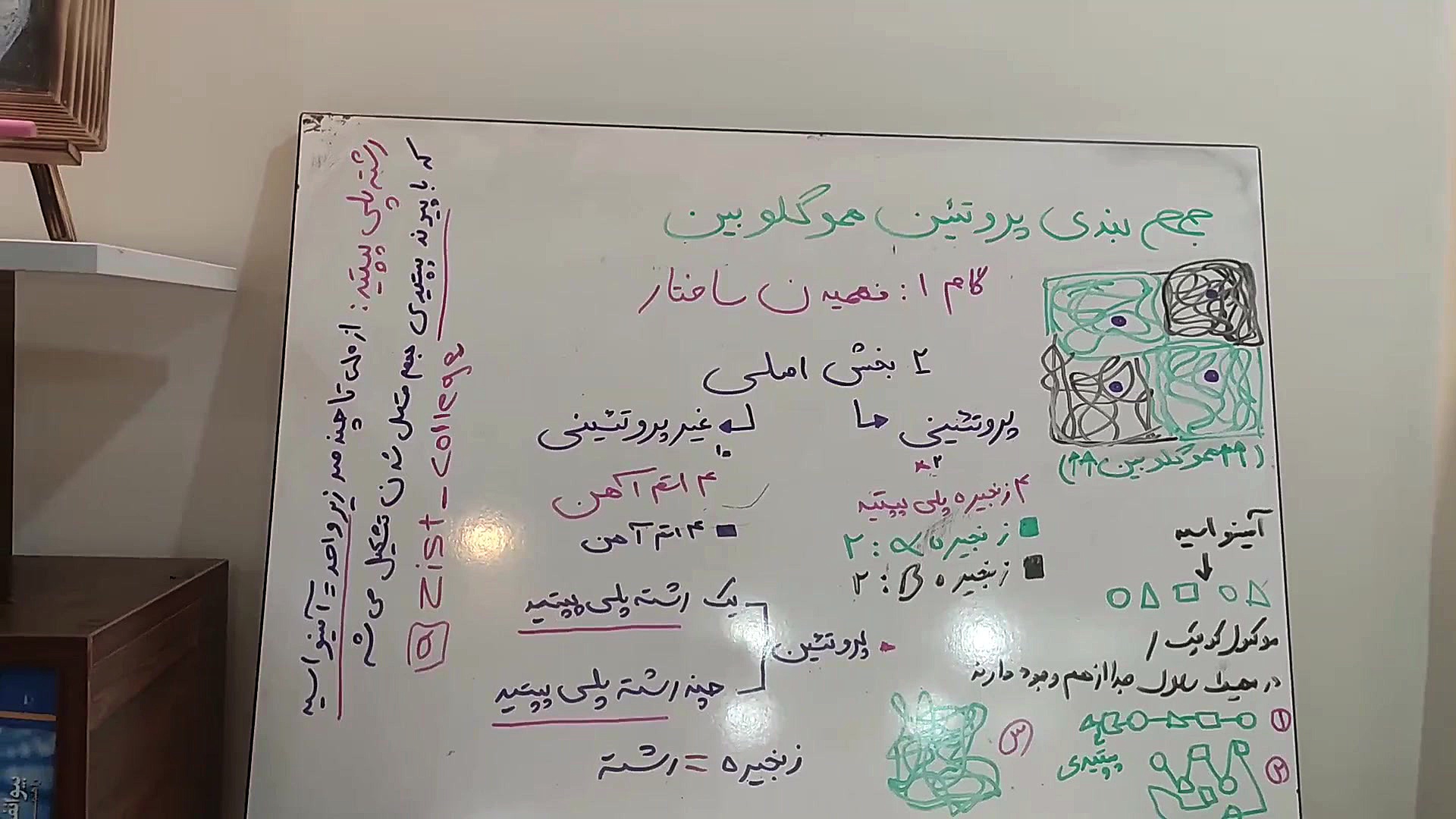 هموگلوبین بخش ساختار و توضیح پلی پپتید بیماری کاوازاکی
