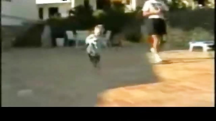 عاقبت گربه آزاری