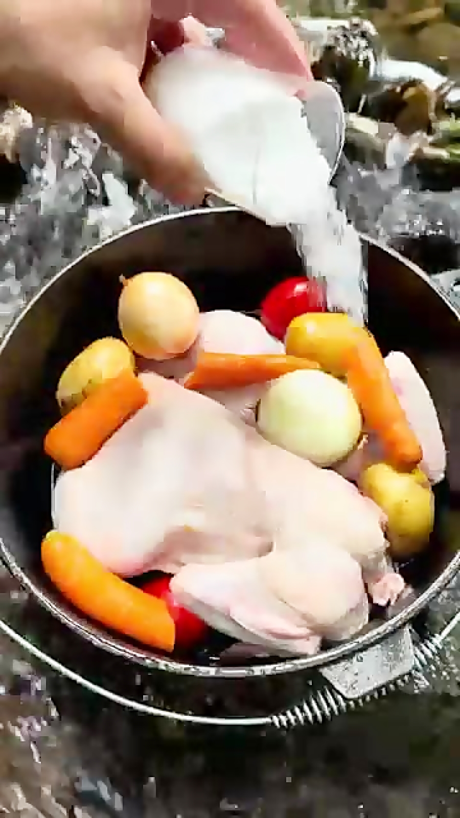 آشپزی در طبیعت