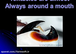 دانلود آشنایی با آناتومی موجود...