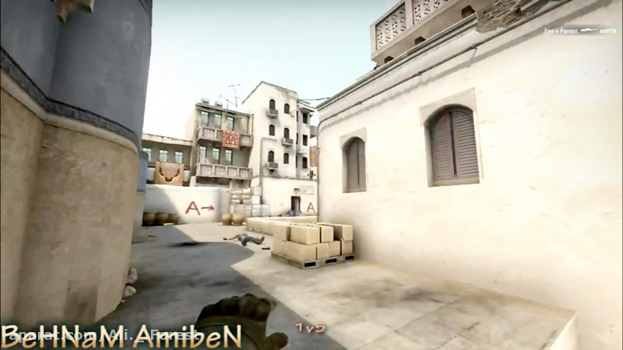 CSGO Movie Behnam AmibeN And Ali Forest