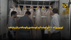 توزیع روزانه ۲۰۰ تن گوشت گرم گوسفندی و گوساله در بازار پایتخت توزیع روزانه ۲۰۰ تن گوشت گرم گوسفندی و گوساله در بازار پایتخت