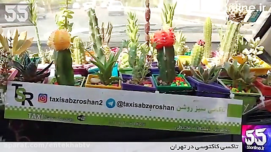 فیلم/ تاکسی کاکتوسی در تهران زمان37ثانیه