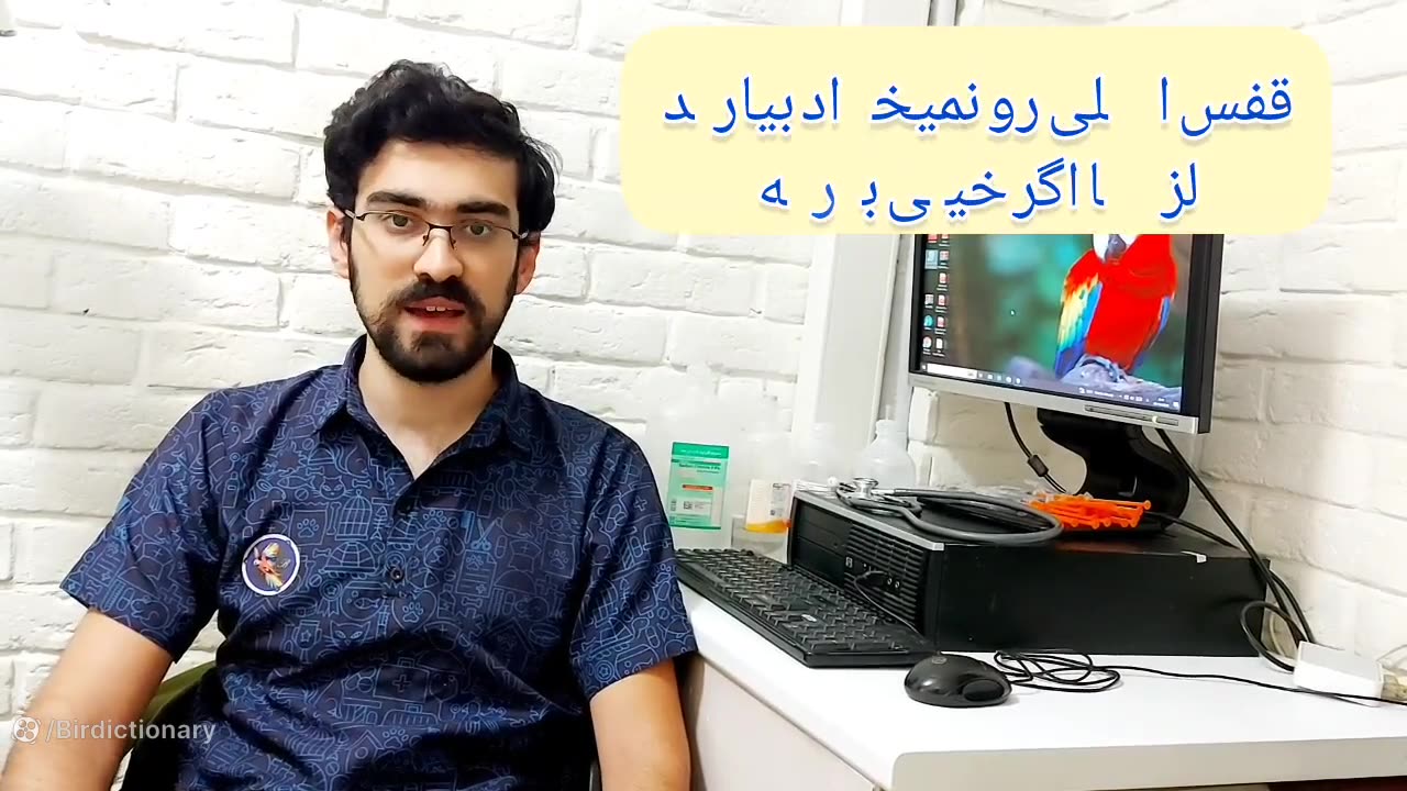 چجوری پرنده مون رو ببریم دامپزشکی؟ کاشت ریش