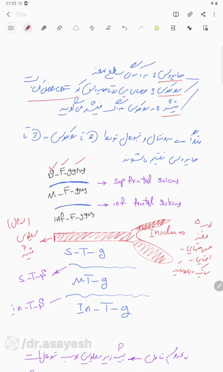 راند ۶ شناخت-1 MRI موزیک قوری