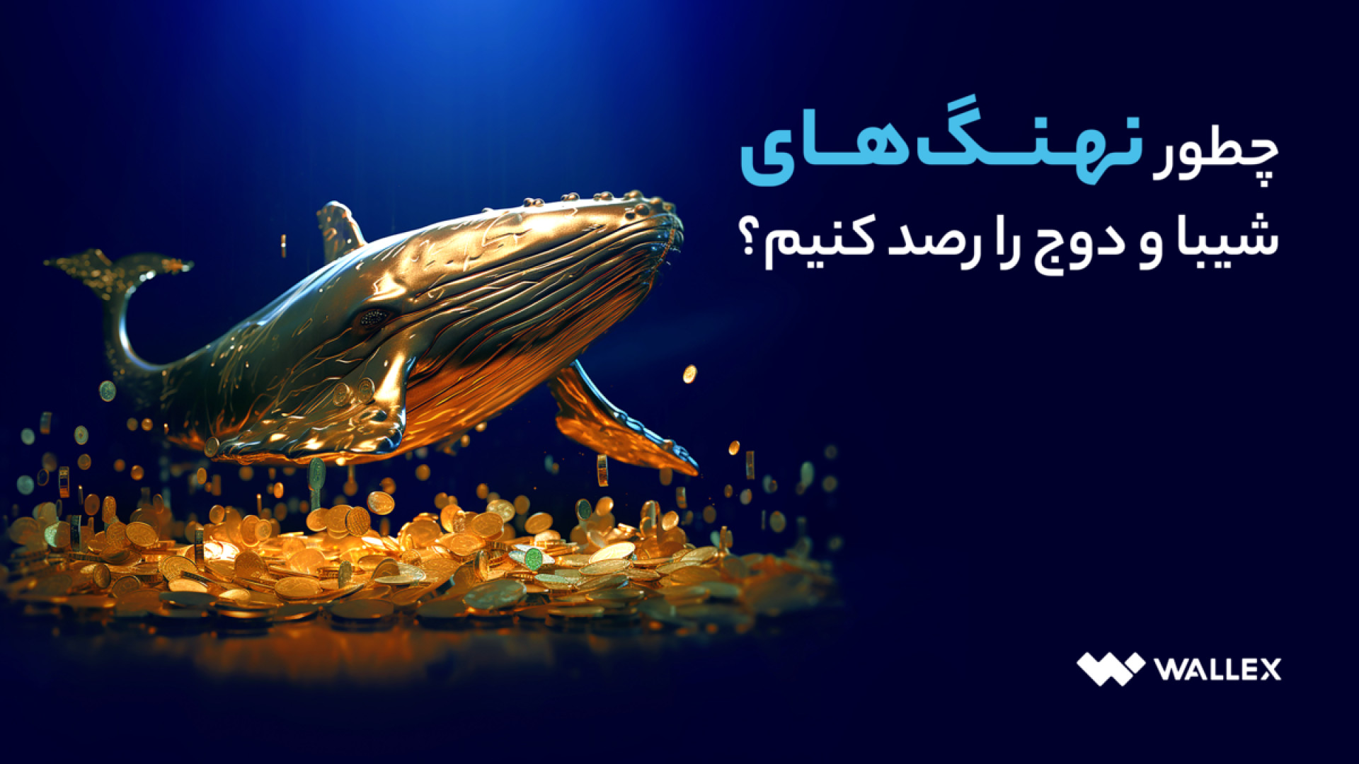 نهنگ , شیبا , دوج , رصد , کنیم؟ , شفافیت , دنیای , کریپتو , کمک , می‌کند , نهنگ‌های , تحلیل , درست‌تری , بازار , میم‌کوین , دست , پیدا , ویدیو , می‌بینیم , کیف‌پول , نهنگ‌ها , ممکن , است؟