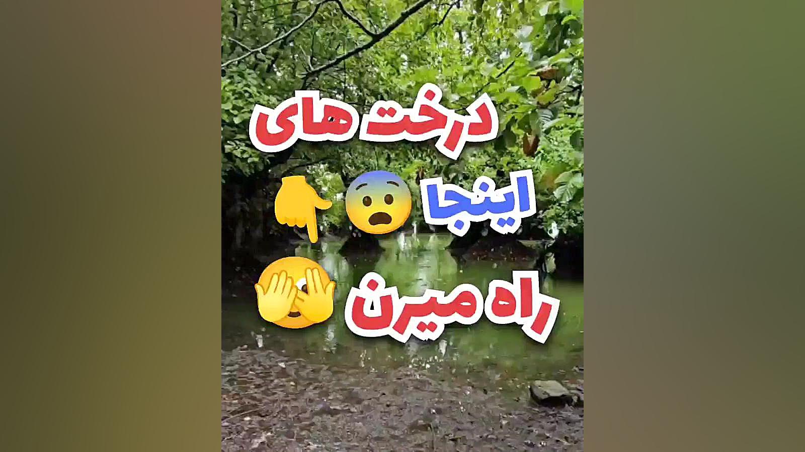 پوستر کوچک