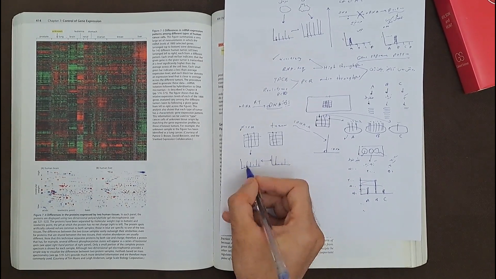 آموزش Microarray به زبان فارسی - قسمت 1 کاشت ابرو