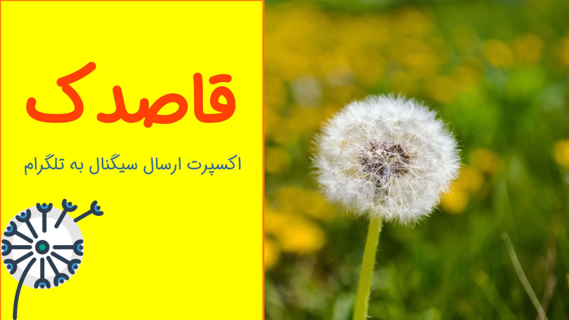 معرفی اکسپرت قاصدک (ارسال سیگنال از متاتریدر به تلگرام) زمان97ثانیه