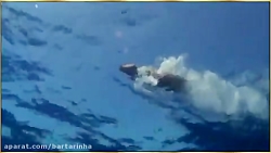 ویدیوی بسیار زیبای دوستی سگ و...