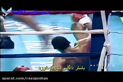 بلند شو و موفق شو