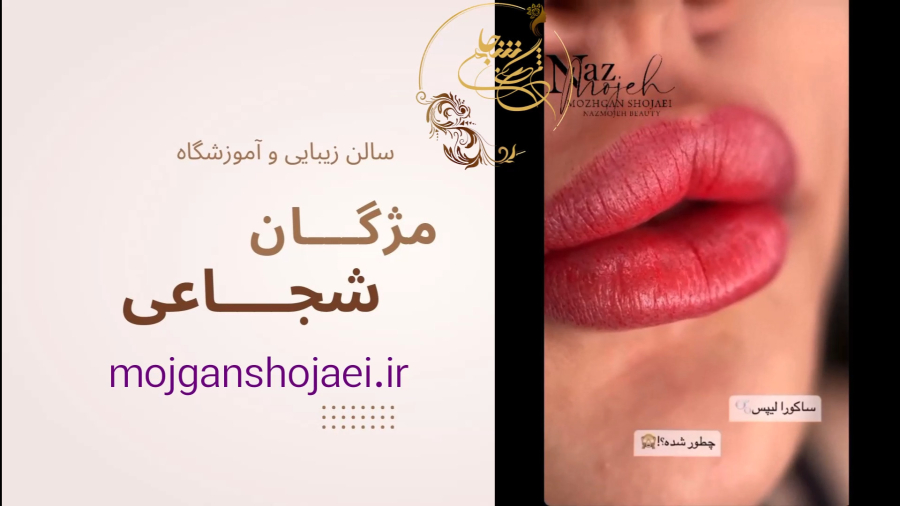 خدمات مختلف آرایش لب در سالن زیبایی مژگان شجاعی