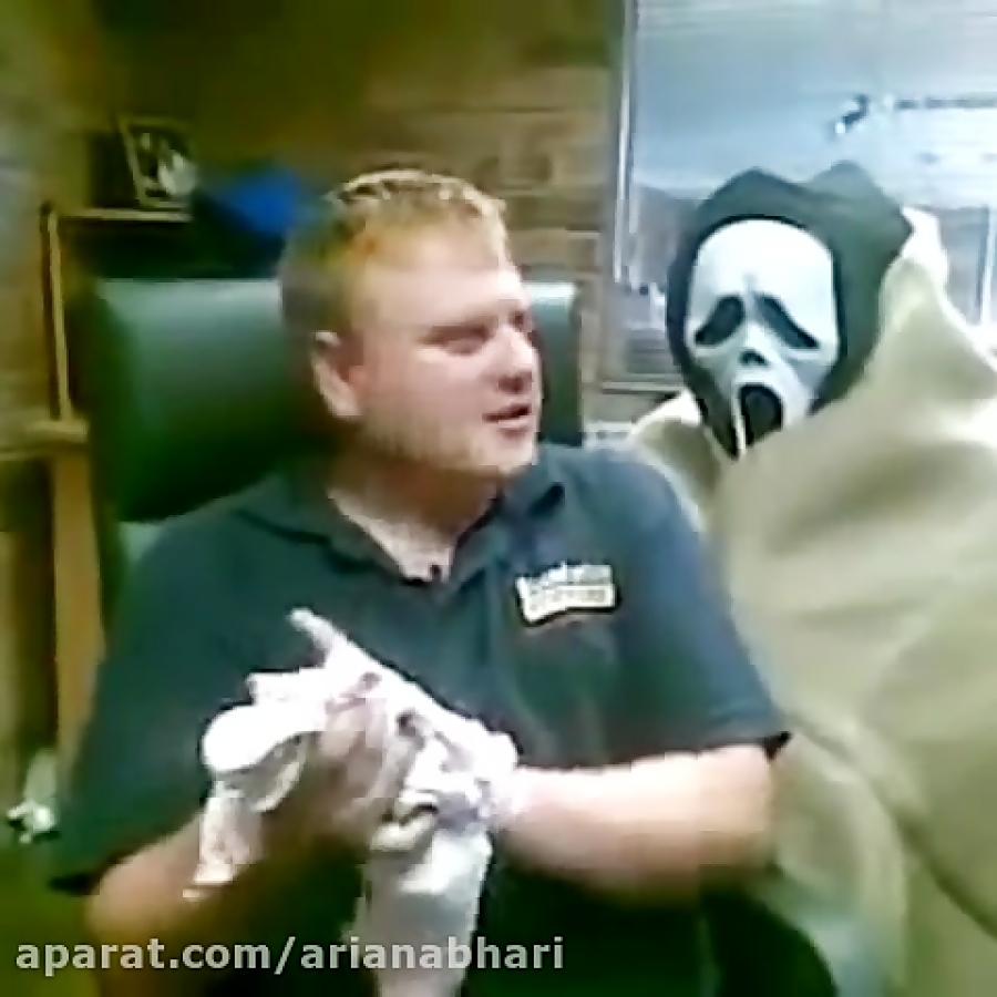 Смешные животные. Испуги людей и животных приколы. Попробуй не засмеяться коты. Удивление животные. Смешные испуги людей и животных 2022г.