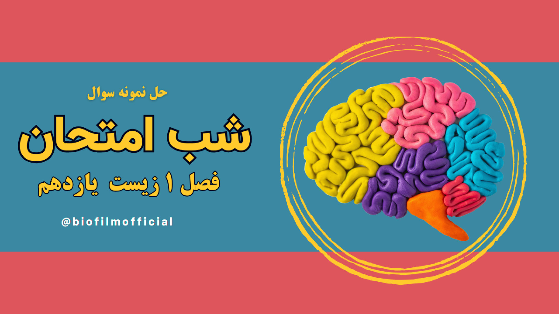 حل نمونه سوال استانی: دستگاه عصبی : فصل 1 زیست یازدهم عصب‌کشی