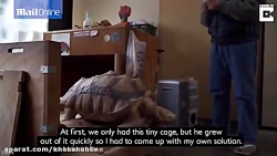 فیلم دوستی 20 ساله مرد ژاپنی و...