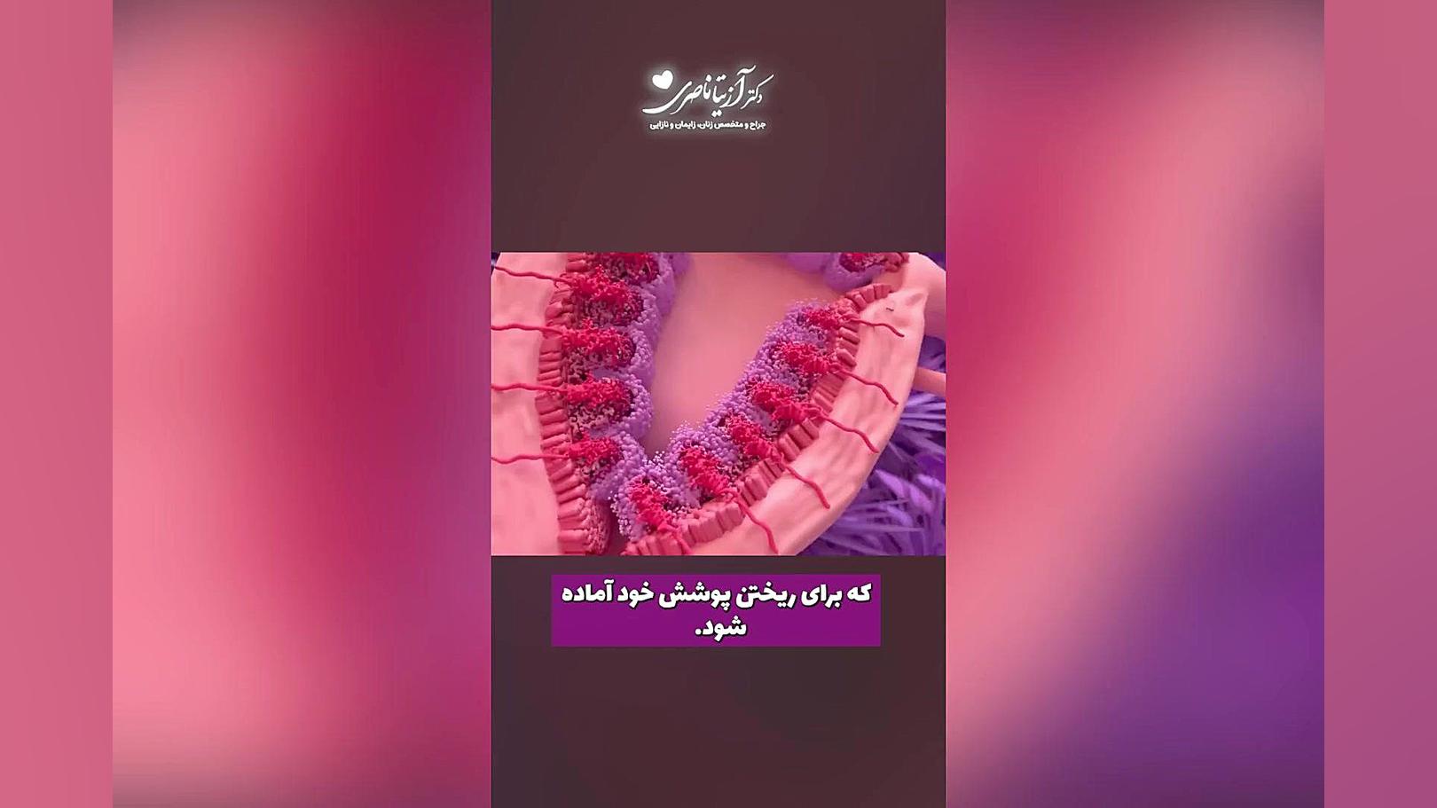چرخه ی قاعدگی دکتر آزیتا ناصری