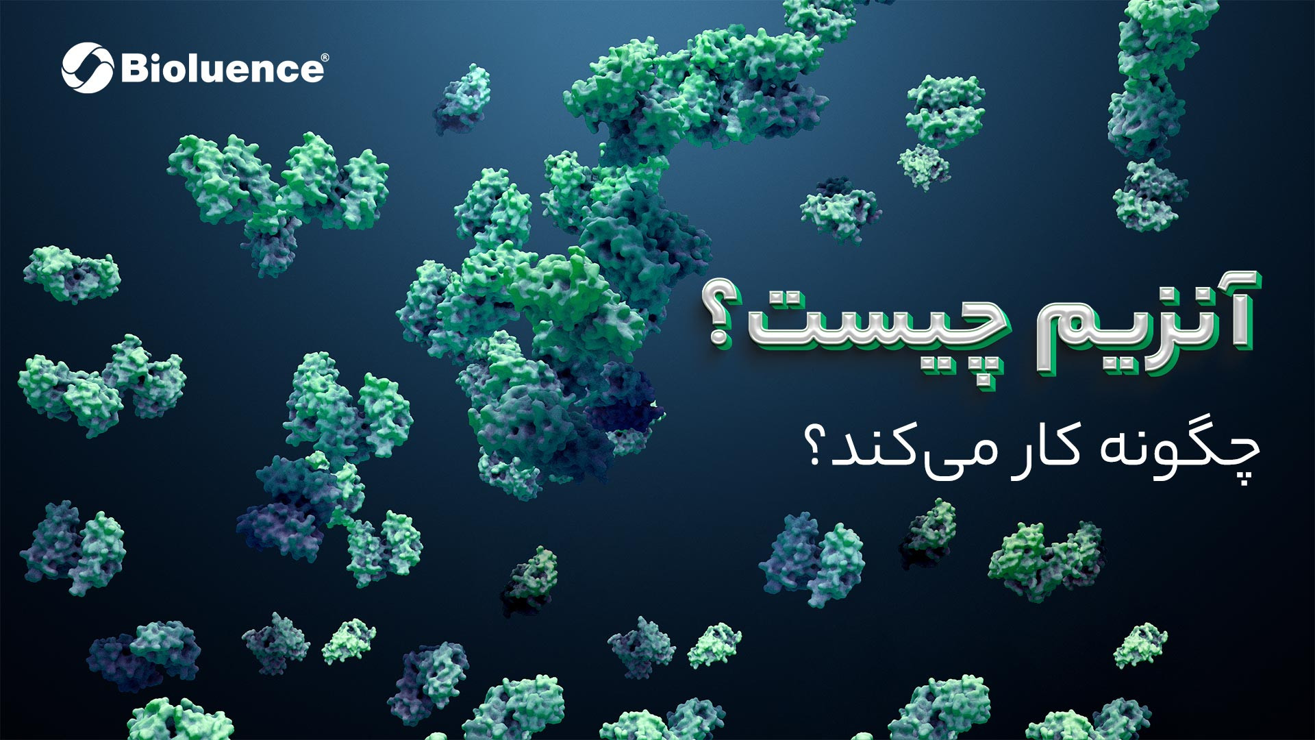 آنزیم چیست؟ چگونه کار می‌کند؟ کامپوزیت ونیر