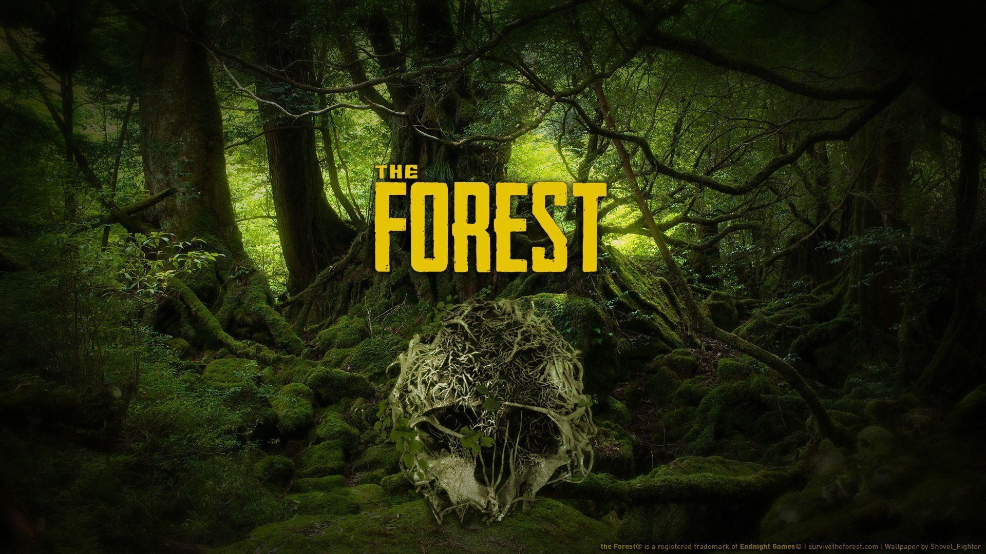 پارت ششم گیم پلی بازی the forest ( رفتن به بزرگترین غار بازی) احمدرضا عابدزاده
