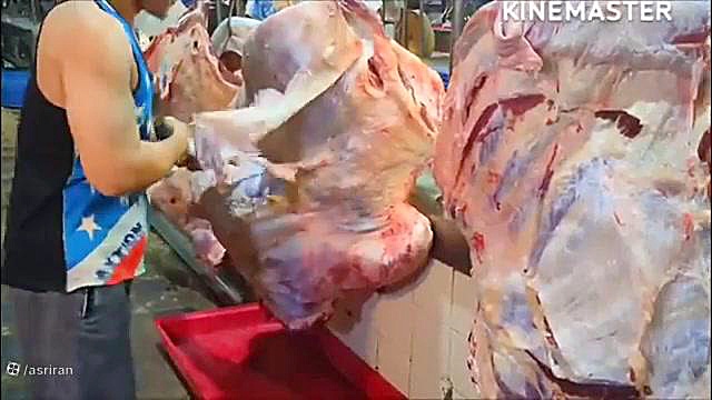 مهارت استاد تایلندی در برش زدن گاو غول پیکر تزریق ژل